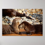 Otter Love Print