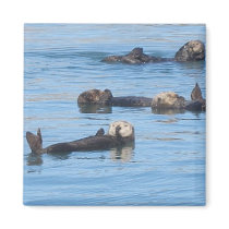 Otter Magnet by nmmercer Otter Magnet