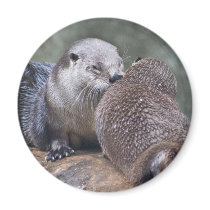otter magnet by imagia77 otter magnet