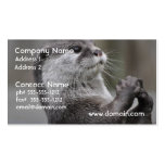 Otter Mastermind Business Cards business cards