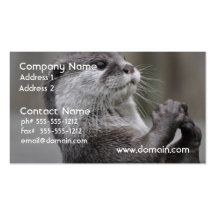 Otter Mastermind Business Cards