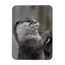 Otter Mastermind Flexible Magnet