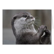 Otter Mastermind Greeting Card