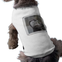 Otter Mastermind Pet Shirt