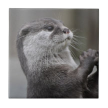 Otter Mastermind Tile