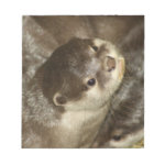 Otter Memo Note Pads Otter Memo Note Pads
