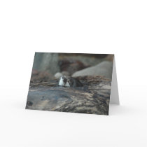 Otter Nap Greeting Card