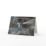 Otter Nap Greeting Card