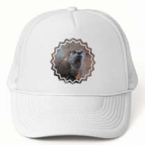 Otter Photo Baseball Hat