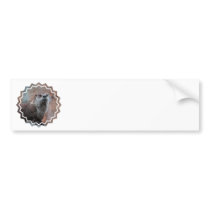 Otter Photo Bumper Sticker