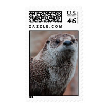 Otter Photo Postage Stamp