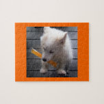 Otter Pop Pup Puzzles