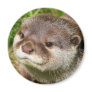 Otter Portrait Magnets