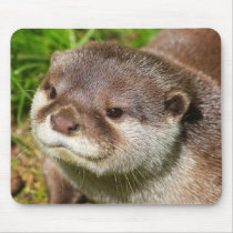 Otter Portrait....... mousepads by jdmphotography Otter Portrait....... mousepads