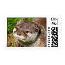 Otter Portrait Stamp