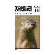 Otter Postal Stamp