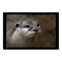 Otter posters