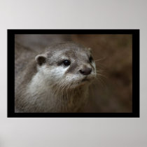 Otter Posters