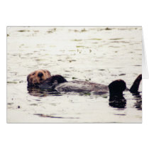 Otter Raft cards by aestheticchaos Otter Raft cards