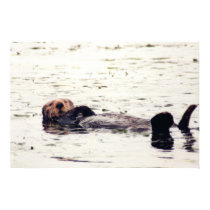 Otter Raft posters by aestheticchaos Otter Raft posters