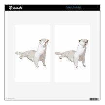 otter skins for kindle fire