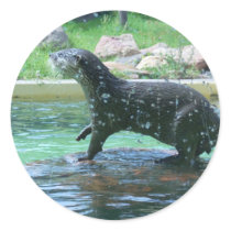 Otter stickers