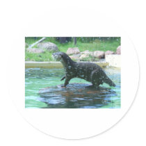 Otter stickers by Furgal Otter stickers