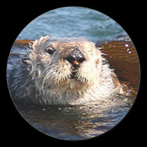 Otter sticker stickers