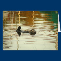 Otter sunbathing near Moss Landing cards