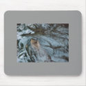 Otter Swimming mousepads