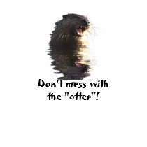 OTTER T-Shirt by HANDPRINTS OTTER T-Shirt