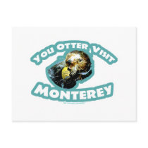 Otter visit Monterey Postcard