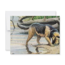 otterhound personalized invites