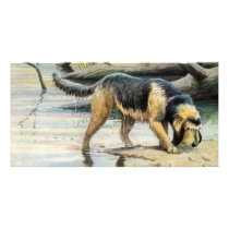 otterhound photo greeting card