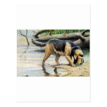 otterhound postcard