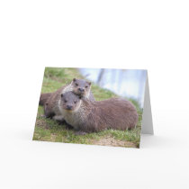 Otterly in Love Card