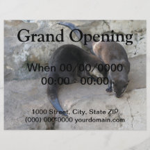 Otters Flyer