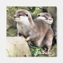 OTTERS FRIDGE MAGNETS