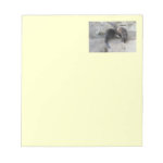 Otters Memo Pad Otters Memo Pad