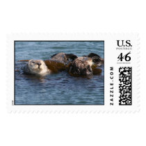 Otters, Morro Bay, Calif postage by wdm_emm Otters, Morro Bay, Calif postage