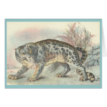 Ounce (Snow Leopard) cards by ZephyrusBooks Ounce (Snow Leopard) cards