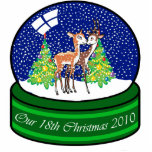 Our 18th Christmas Ornament 2010 Photo Cut Out