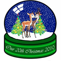 Our 20th Christmas Ornament 2010 Photo Cut Outs