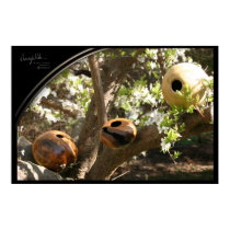 OUR ART GROWS ON TREES posters