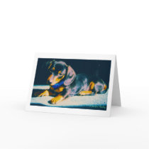 Our Bailey Dachshund cards by gottapaint Our Bailey Dachshund cards