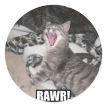 Our cat, Ana looking scary! stickers by billishirts Our cat, Ana looking scary! stickers