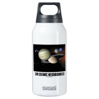 Our Cosmic Neighborhood (Solar System) 10 Oz Insulated SIGG Thermos Water Bottle