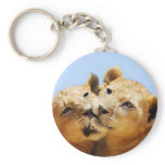 Our cute lion faces key chain