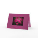 Our Deepest, Sympathy card by pammys Our Deepest, Sympathy card