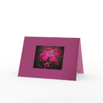 Our Deepest, Sympathy card